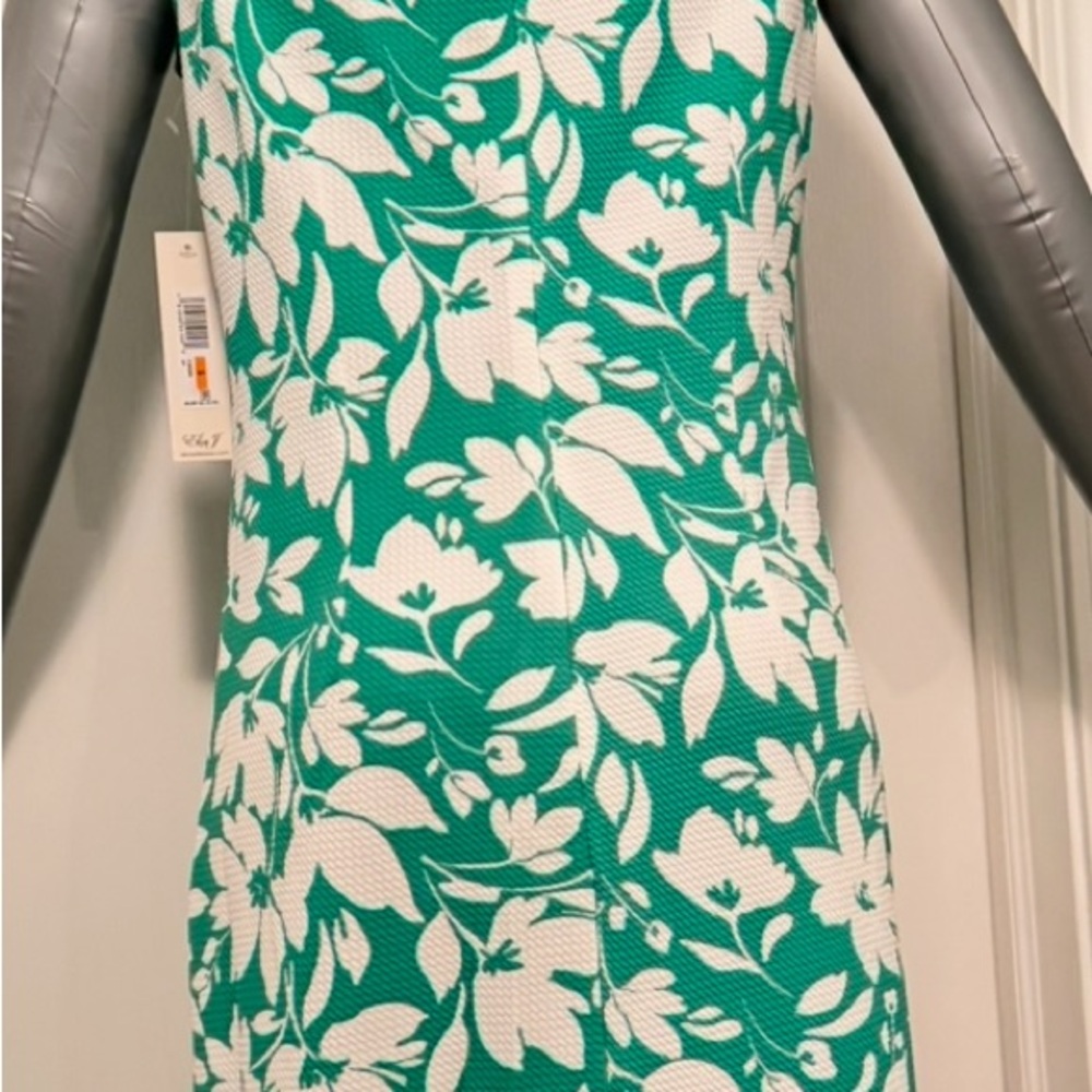 Eliza J Green and White Patterned Dress